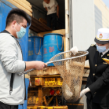 官方解读:今年我国外贸开局为何平稳向好?