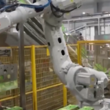 “特色经济”比拼 如何拼出特色？