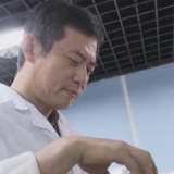 一批重大项目加快推进 为高质量发展注入新动力