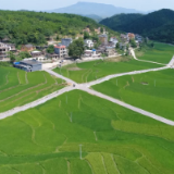 幸福小康路丨桂阳：高标准农田走出小康新“稻”路