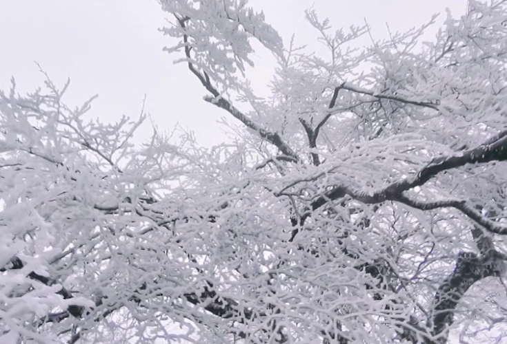 冬日湖湘——是“不到阳明不识冬”