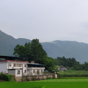 组图丨吉大学子镜头里的美丽乡村