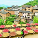乡村发展绘新篇