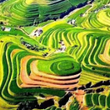 宁夏彭阳: 闽宁携手描绘“五美融合”新画卷