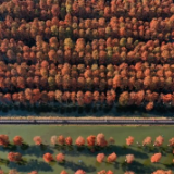 中国成为“国际湿地城市”最多的国家