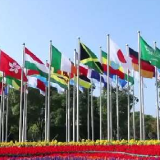 第五届进博会｜我的进博故事：外资药企深耕中国 五赴进博之约