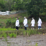 乡镇卫生院来了县里“大医生”——重庆垫江“县管乡用”破解基层医卫人才难题