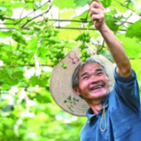 抱团聚力 让兴村富民火更旺