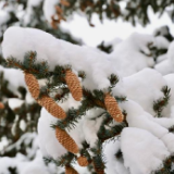 黑龙江：供暖再升级 天寒人心暖