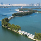 当我们在保护湿地时，我们在保护什么？