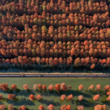 中国成为“国际湿地城市”最多的国家