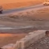 美军欲闯叙利亚村庄被驱逐 此前曾频繁盗运当地石油小麦