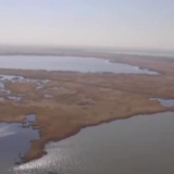 到底什么是湿地？一起去揭开它神秘的面纱