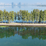 抓住时间窗口，推动经济进一步回稳向上——11月份全国各地经济社会发展扫描