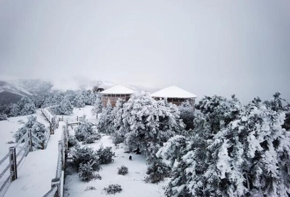 组图丨郴州雪景图上新，第一张我就心动了