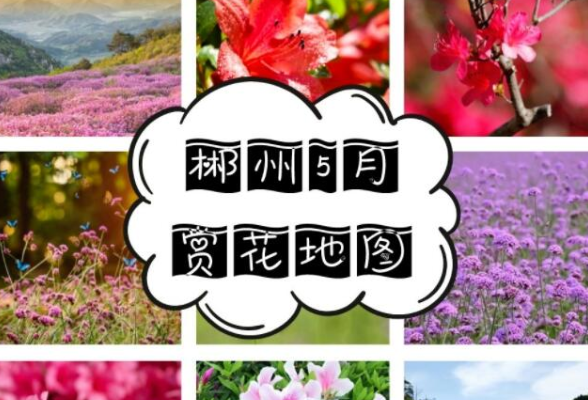郴州五月赏花地图上线，这些地方随手拍都是大片
