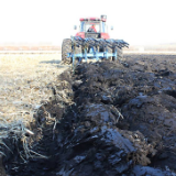 大国粮仓丨“龙江模式”让黑土耕地质量大提升