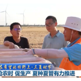 在希望的田野上·三夏时节丨抢农时 促生产 夏种夏管有力推进