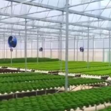 农业农村部将从四个方面持续发力 促进返乡农民工就业