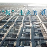 我与总书记“同框”丨“搬”出来的新生活