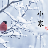 小寒丨心中有暖，岁月不寒