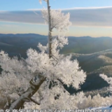 经济微观丨旅游新业态 迎来市场复苏新机遇