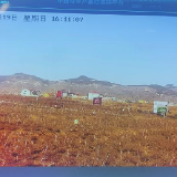 高质量发展看中国｜一方制药：15秒抓6付中药，全流程数字化助力中药生产走向世界