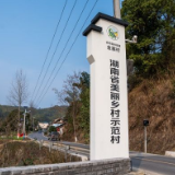 大国基理丨湖南会同：“一村一幅画”这样绘就