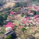 焦点访谈：企稳回升 开局良好