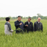 第一观察｜总书记强调做好盐碱地特色农业大文章