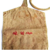 时政微视频丨报得三春晖