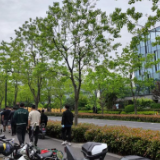 高质量发展调研行 | 上海张江全链条发力营造更优企业创新发展环境