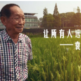 让所有人远离饥饿——袁隆平的故事
