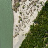 世界环境日 | 西藏：绿染雅江满目景