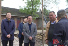 安乡：吴兴国开展河长制巡河及防汛备汛检查