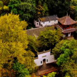 赏秋图鉴丨湖南这些地方，秋天美到极致，就是现在！