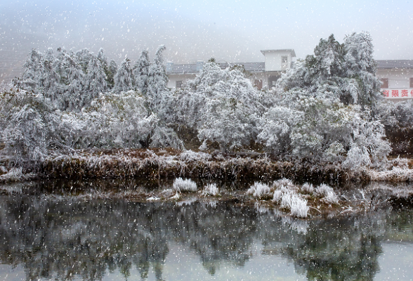 炎陵云上大院：大雪、雾凇、云瀑三景同赏