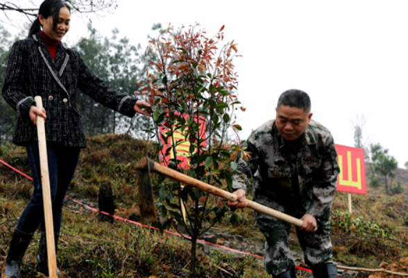 隆回：400余名干部职工植树1万余株 为荒山披上“绿装”