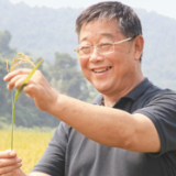 培养农业人才 带动农民增收（二十大代表风采）