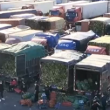 北京：新发地农产品批发市场供应充足 部分菜价回调