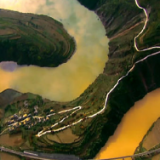 新华空间音频丨这片湿地在呼吸，听见黄河入海口的绿色奇观