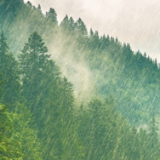 10月谣言榜出炉，食品领域成重灾区