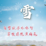 节令之美·大雪丨7日大雪,坐看青竹变琼枝