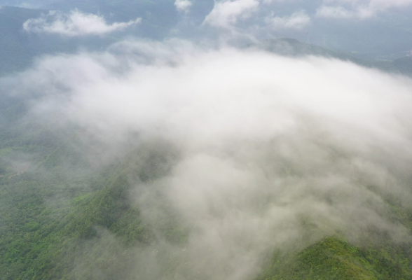 攸县：赏自然之美 看高山云雾涌动