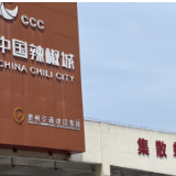 【在希望的田野上】全国最“辣”的交易市场!遵义这座“城”奏响红火“椒响曲”