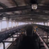 字解半年经济 | 大宗商品稳 稳住工业大盘