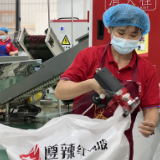 【在希望的田野上】遵义辣椒手机种，周黑鸭海底捞都在用