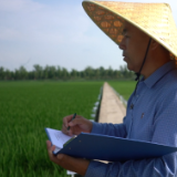 新华视点｜一粒种 一颗“芯”