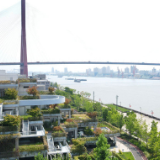 上海：作出改革开放排头兵、创新发展先行者的新业绩