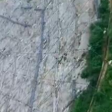 【奋斗者·正青春】姜鹏：守护“中国天眼”的追星人